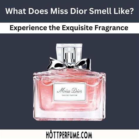 how does miss dior perfume smell|what smells like miss dior.